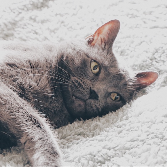 Meet your posher! - Picture 5 of 5